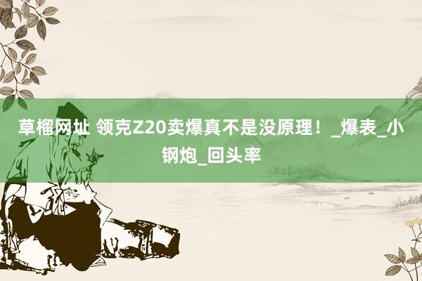 草榴网址 领克Z20卖爆真不是没原理！_爆表_小钢炮_回头率