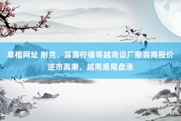 草榴网址 耐克、露露柠檬等越南设厂服装商股价逆市高潮，越南盾尾盘涨