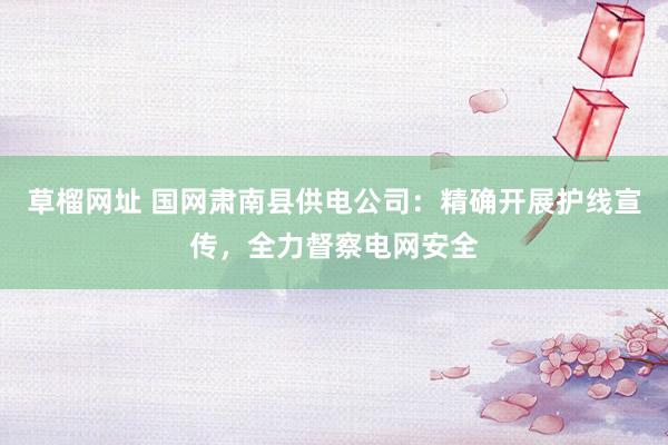 草榴网址 国网肃南县供电公司：精确开展护线宣传，全力督察电网安全