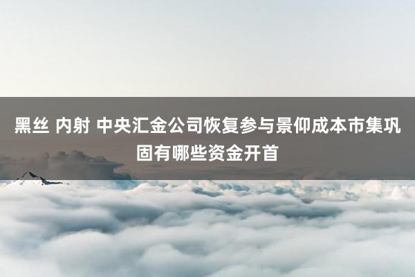 黑丝 内射 中央汇金公司恢复参与景仰成本市集巩固有哪些资金开首
