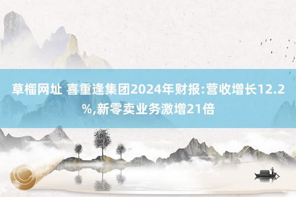 草榴网址 喜重逢集团2024年财报:营收增长12.2%,新零卖业务激增21倍