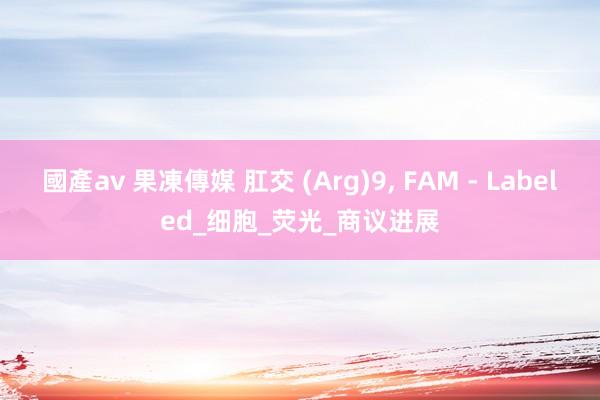 國產av 果凍傳媒 肛交 (Arg)9, FAM - Labeled_细胞_荧光_商议进展