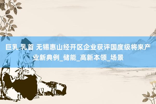 巨乳 乳首 无锡惠山经开区企业获评国度级将来产业新典例_储能_高新本领_场景