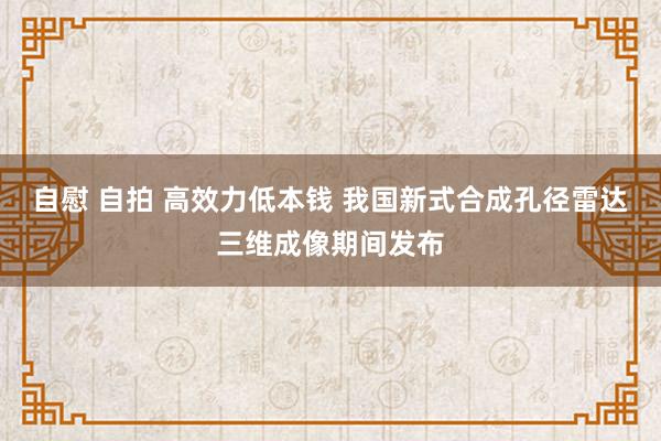 自慰 自拍 高效力低本钱 我国新式合成孔径雷达三维成像期间发布