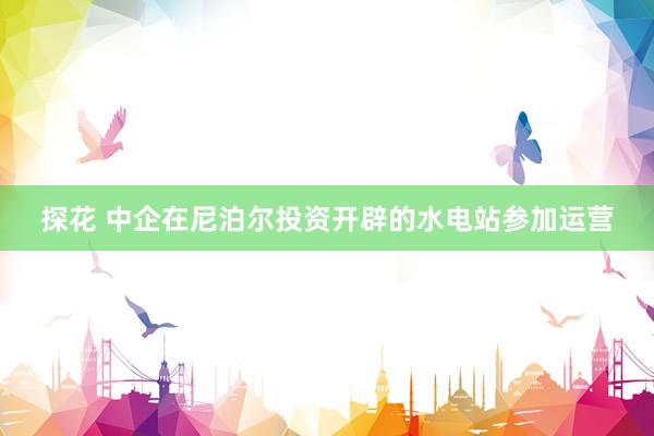 探花 中企在尼泊尔投资开辟的水电站参加运营