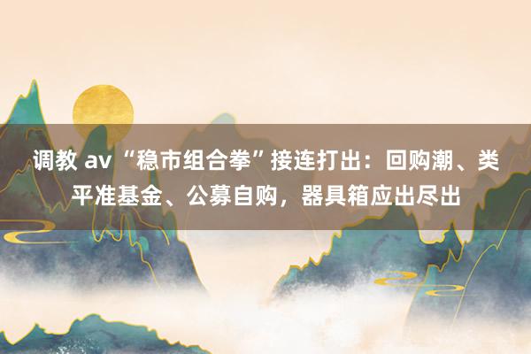 调教 av “稳市组合拳”接连打出：回购潮、类平准基金、公募自购，器具箱应出尽出
