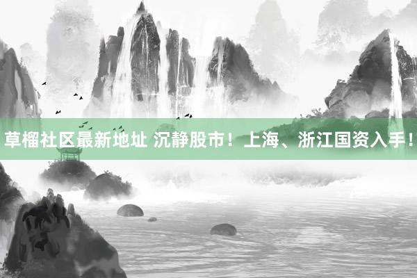 草榴社区最新地址 沉静股市！上海、浙江国资入手！
