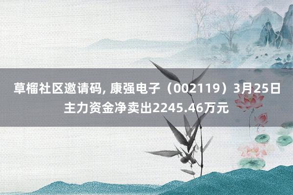草榴社区邀请码, 康强电子（002119）3月25日主力资金净卖出2245.46万元
