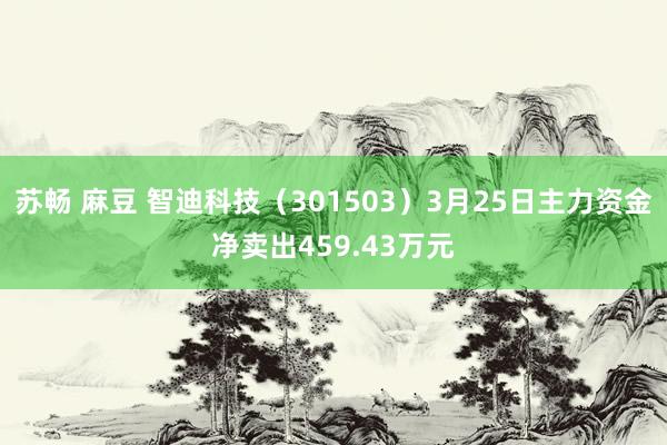 苏畅 麻豆 智迪科技（301503）3月25日主力资金净卖出459.43万元