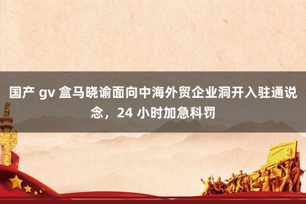 国产 gv 盒马晓谕面向中海外贸企业洞开入驻通说念，24 小时加急科罚