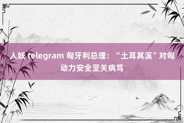 人妖 telegram 匈牙利总理：“土耳其溪”对匈动力安全至关病笃