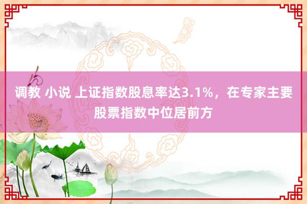 调教 小说 上证指数股息率达3.1%，在专家主要股票指数中位居前方