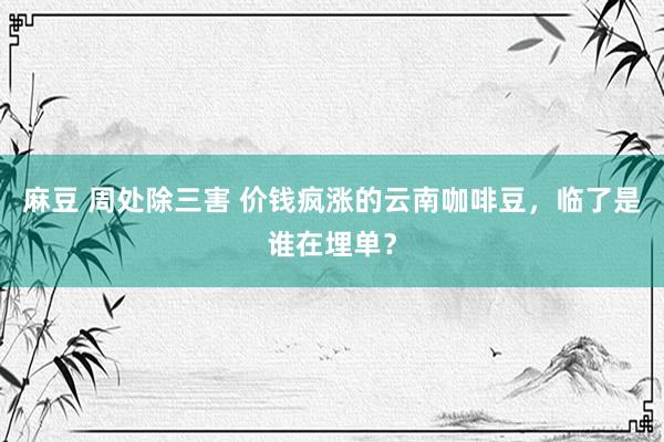 麻豆 周处除三害 价钱疯涨的云南咖啡豆，临了是谁在埋单？