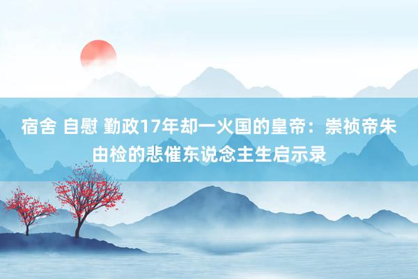 宿舍 自慰 勤政17年却一火国的皇帝：崇祯帝朱由检的悲催东说念主生启示录