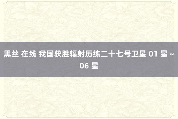黑丝 在线 我国获胜辐射历练二十七号卫星 01 星～06 星