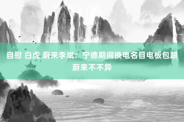 自慰 白虎 蔚来李斌：宁德期间换电名目电板包跟蔚来不不异