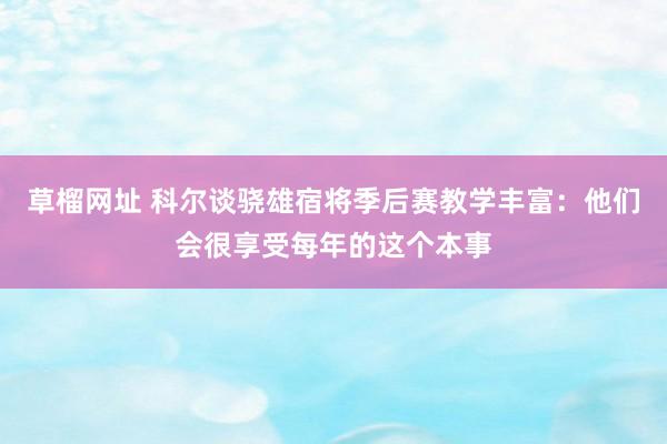 草榴网址 科尔谈骁雄宿将季后赛教学丰富：他们会很享受每年的这个本事