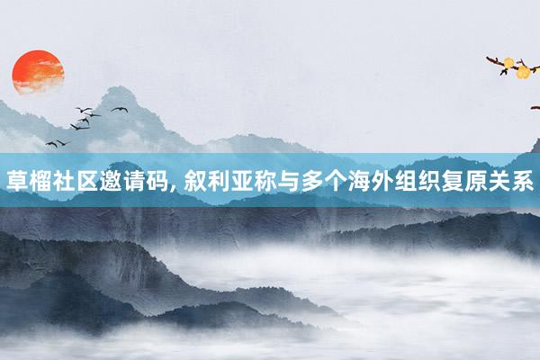 草榴社区邀请码, 叙利亚称与多个海外组织复原关系