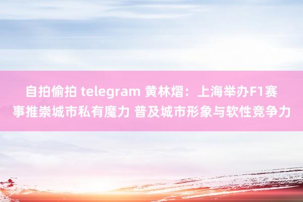 自拍偷拍 telegram 黄林熠：上海举办F1赛事推崇城市私有魔力 普及城市形象与软性竞争力
