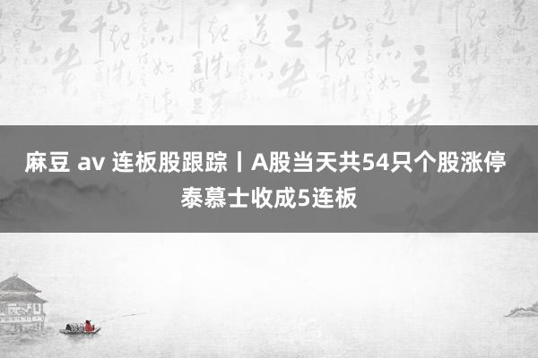 麻豆 av 连板股跟踪丨A股当天共54只个股涨停 泰慕士收成5连板
