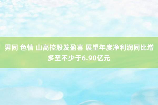 男同 色情 山高控股发盈喜 展望年度净利润同比增多至不少于6.90亿元
