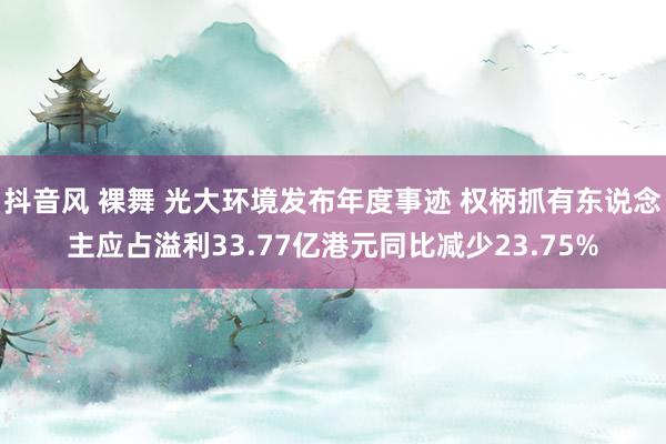 抖音风 裸舞 光大环境发布年度事迹 权柄抓有东说念主应占溢利33.77亿港元同比减少23.75%
