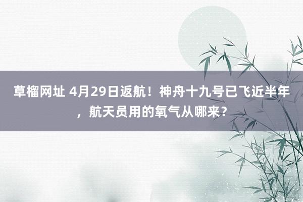 草榴网址 4月29日返航！神舟十九号已飞近半年，航天员用的氧气从哪来？