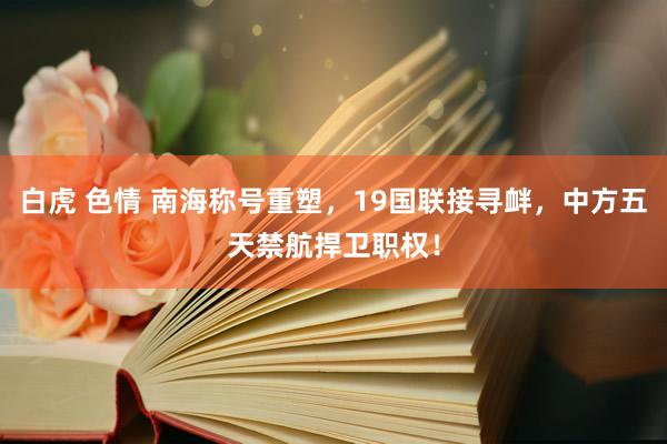 白虎 色情 南海称号重塑，19国联接寻衅，中方五天禁航捍卫职权！
