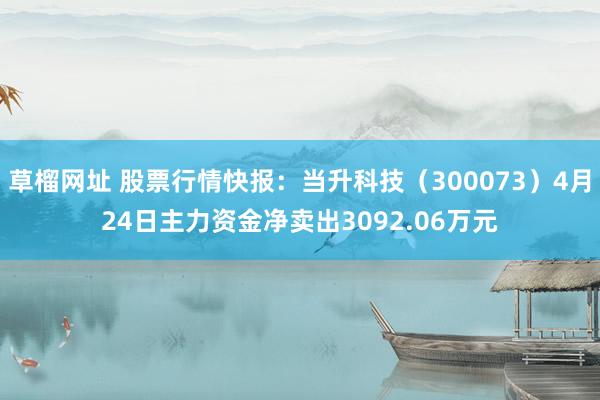 草榴网址 股票行情快报：当升科技（300073）4月24日主力资金净卖出3092.06万元
