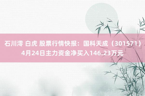 石川澪 白虎 股票行情快报：国科天成（301571）4月24日主力资金净买入146.23万元