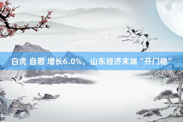 白虎 自慰 增长6.0%，山东经济末端“开门稳”